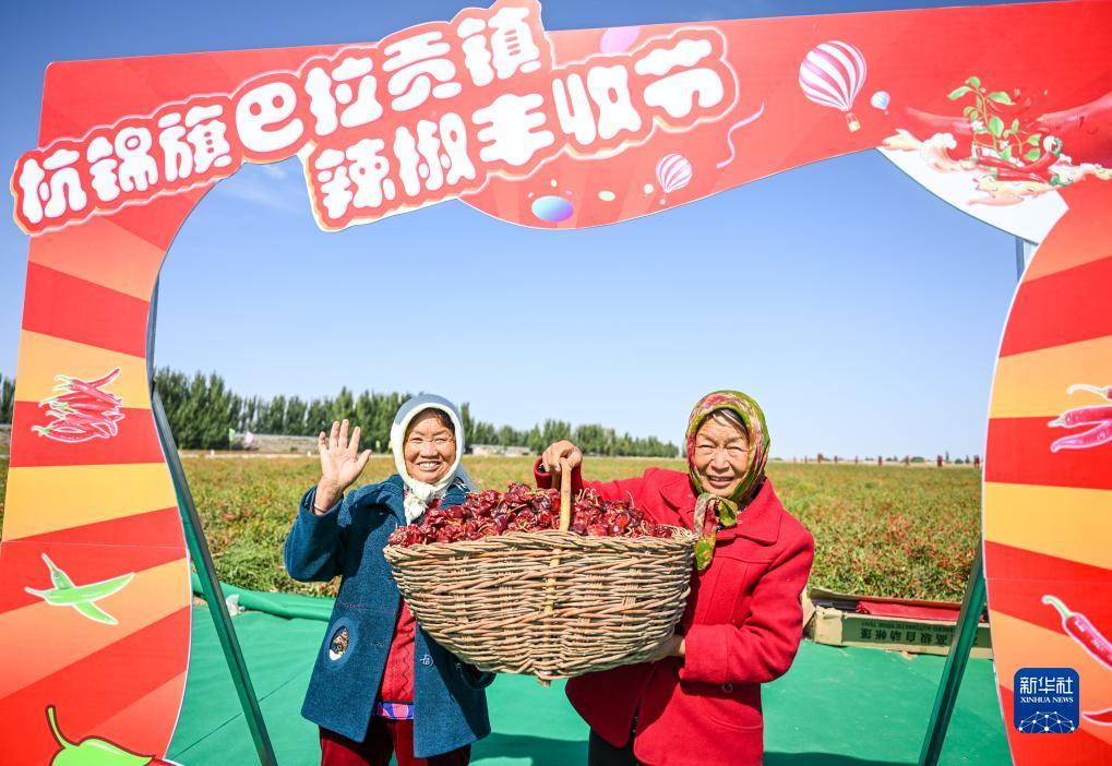 太阳游戏名字